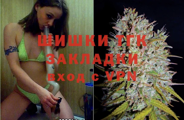 ПСИЛОЦИБИНОВЫЕ ГРИБЫ Арсеньев