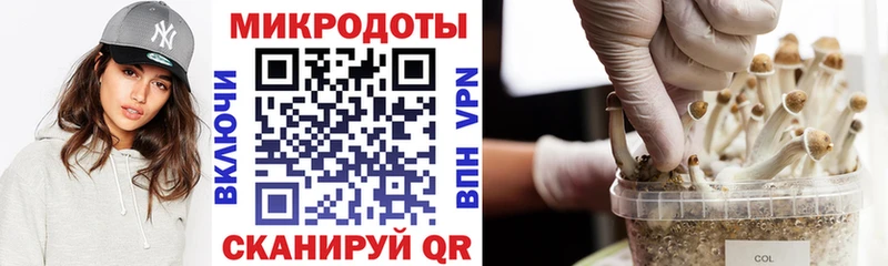 Псилоцибиновые грибы мухоморы  где найти наркотики  Осинники 